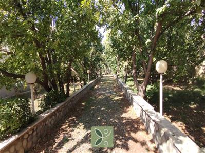 باغ و باغچه 1000متری سنددار